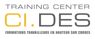 CI.DES Logo